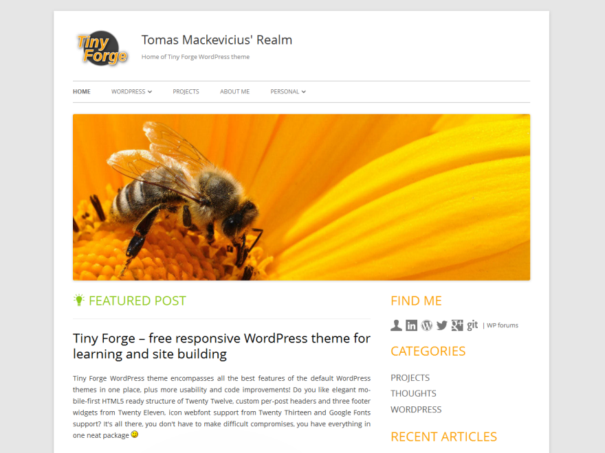 tiny-forge-screenshot