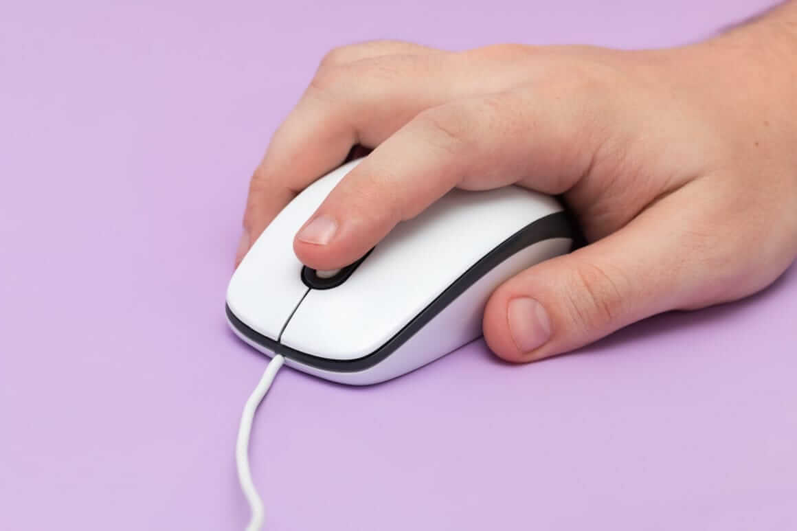 pexels photo 3531973