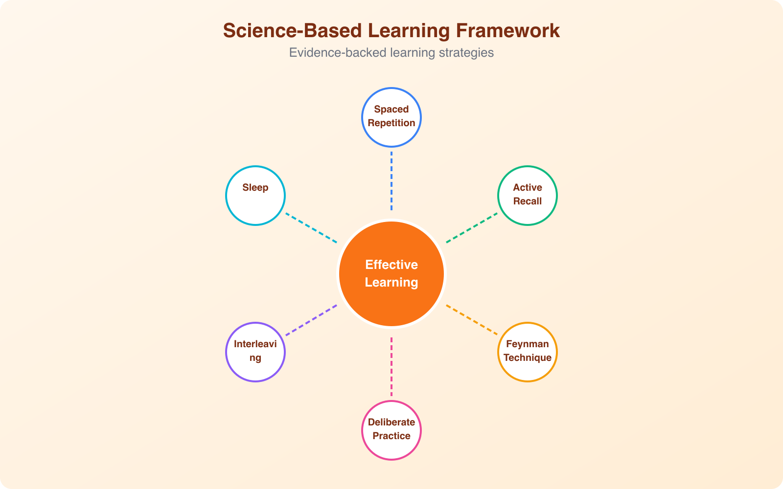 The forgetting curve showing memory retention dropping over time without reinforcement