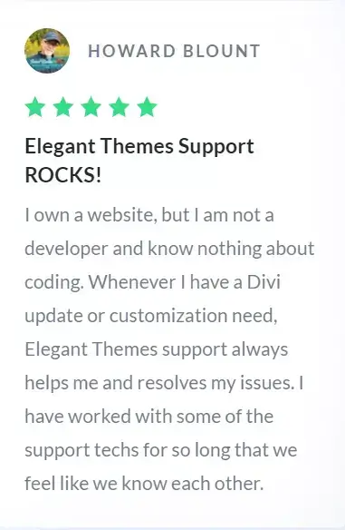 divi theme review 1
