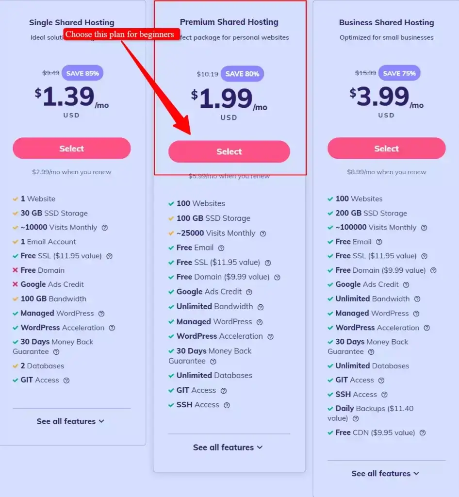 Hostinger plan selection