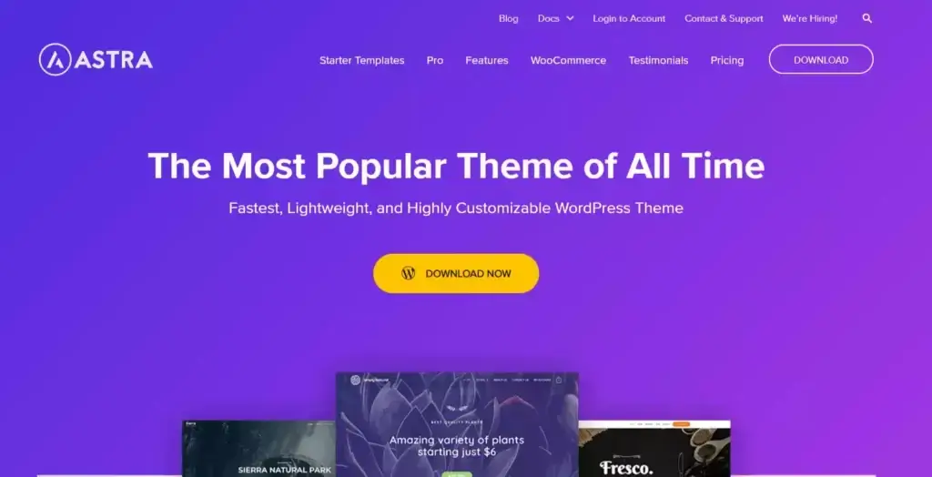 Astra WordPress Theme