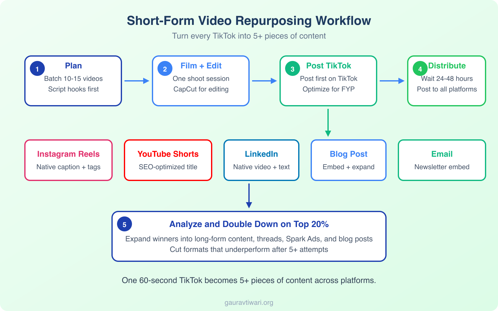 TikTok Marketing Strategies to Beat Your Competition - Infographic 3