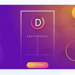 divi wordpress theme