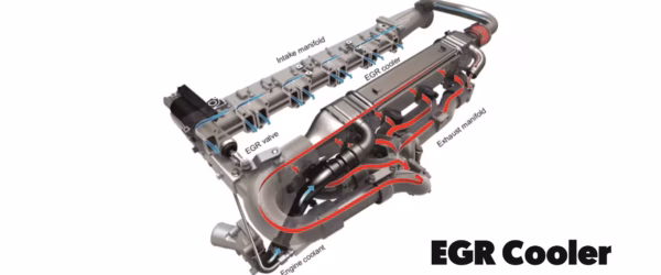 egr cooler structure