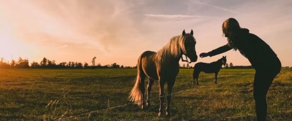 photo of person near horse
