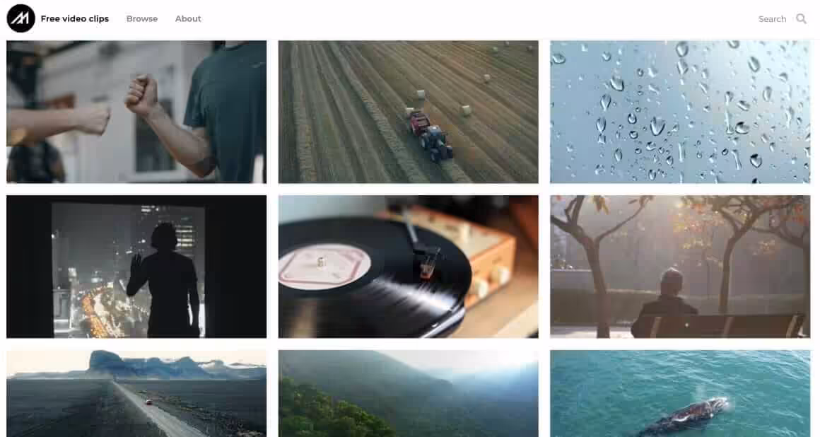 Free Stock Video Footage HD Royalty Free Videos Download 2023 05 002600