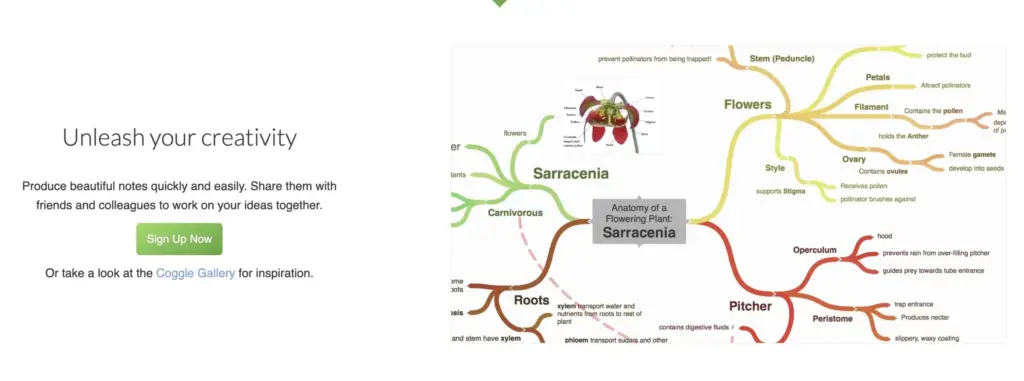 Simple Collaborative Mind Maps Flow Charts Coggle 2024 02 003897