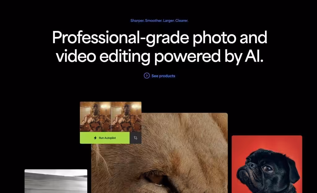 Professional-grade photo and video editing powered by AI by Topaz Labs