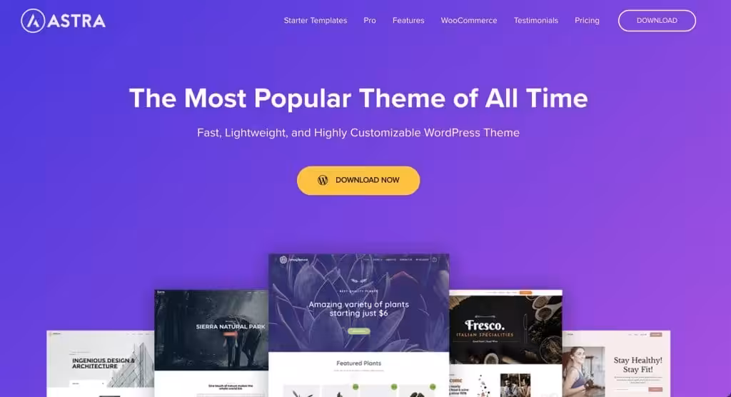 Astra – Fast Lightweight Customizable WordPress Theme Download Now 2024 06 004555 1