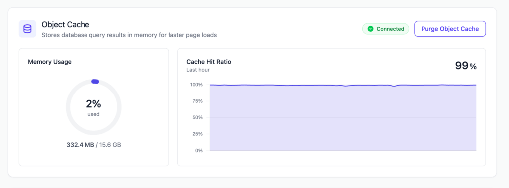 FlyingPress object cache dashboard showing connected Redis cache, 2% memory used, and 99% hit ratio