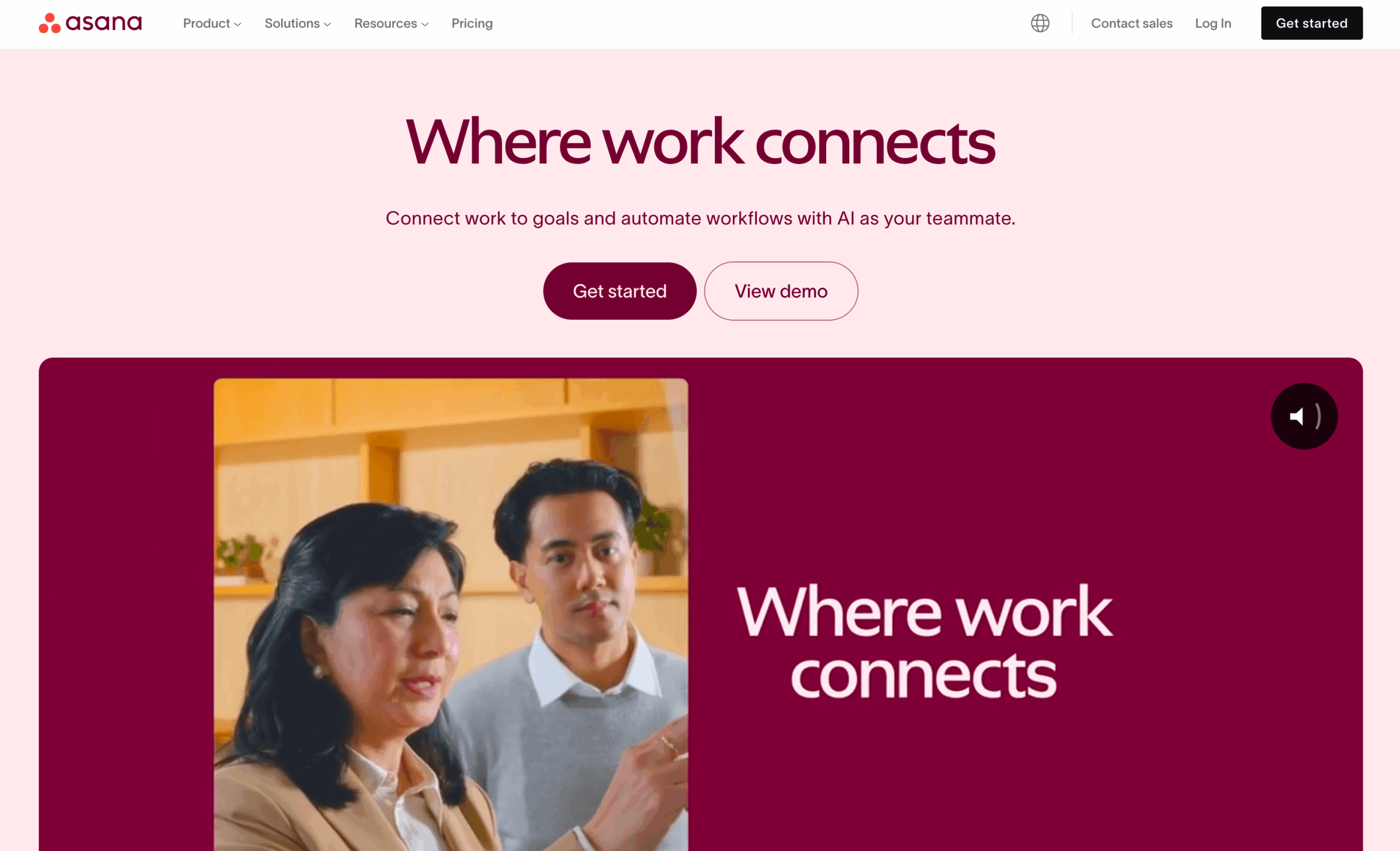Asana task management software