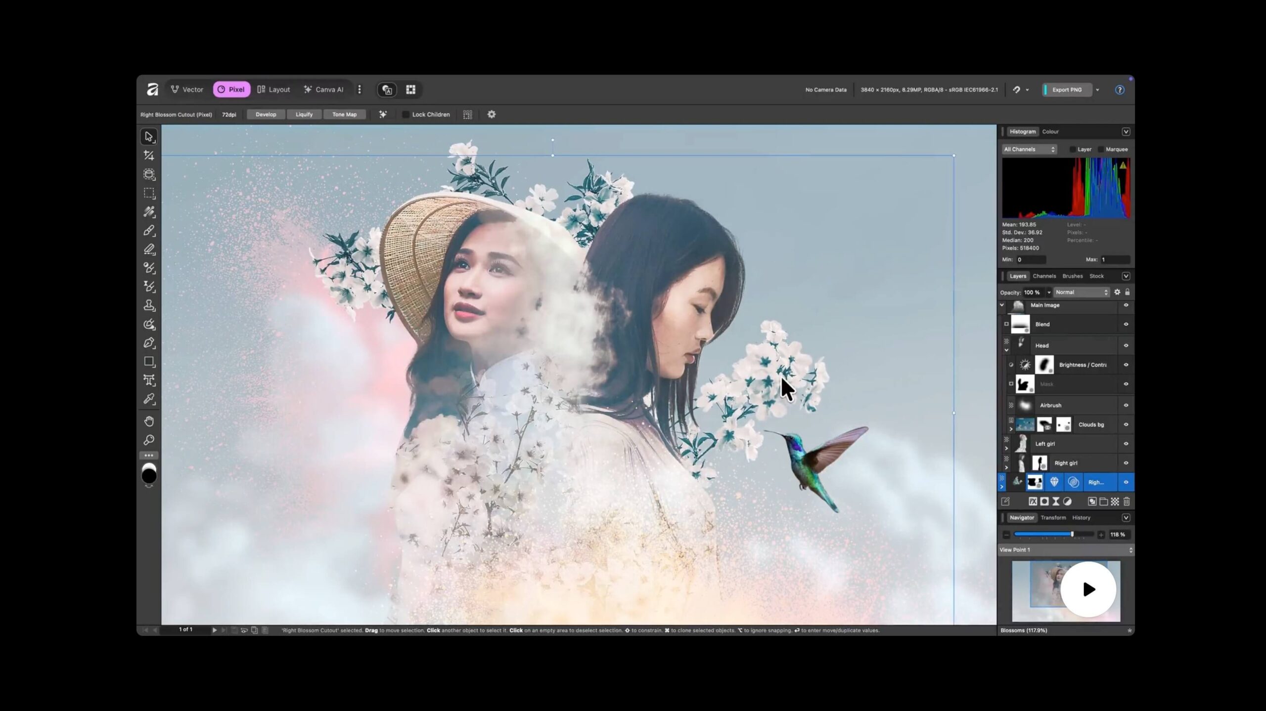 Affinity by Canva free professional photo editor for Mac