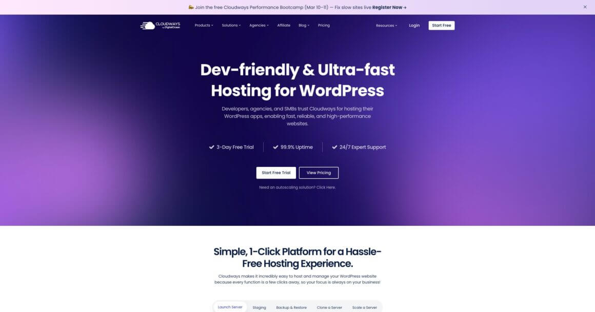 Cloudways hosting