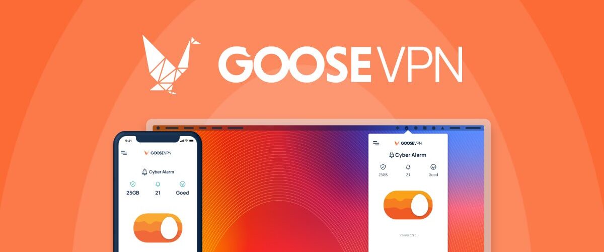 goose vpn
