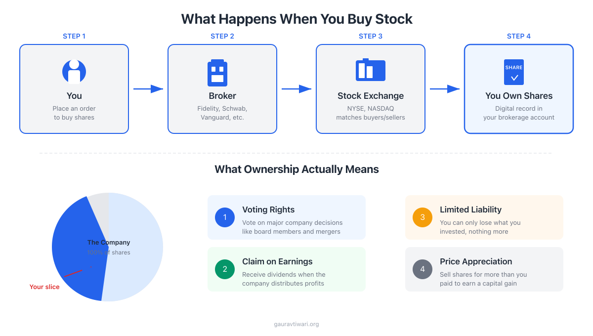 How Stocks Work - Visual breakdown of stock ownership, exchanges, and market mechanics