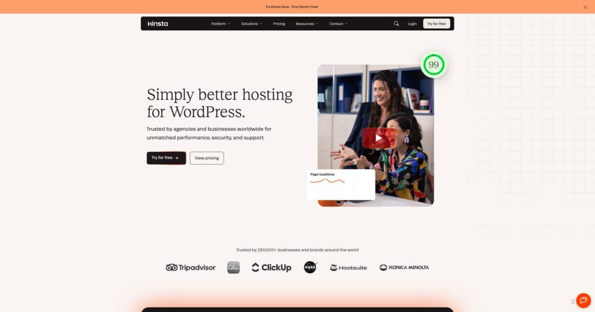 Kinsta hosting
