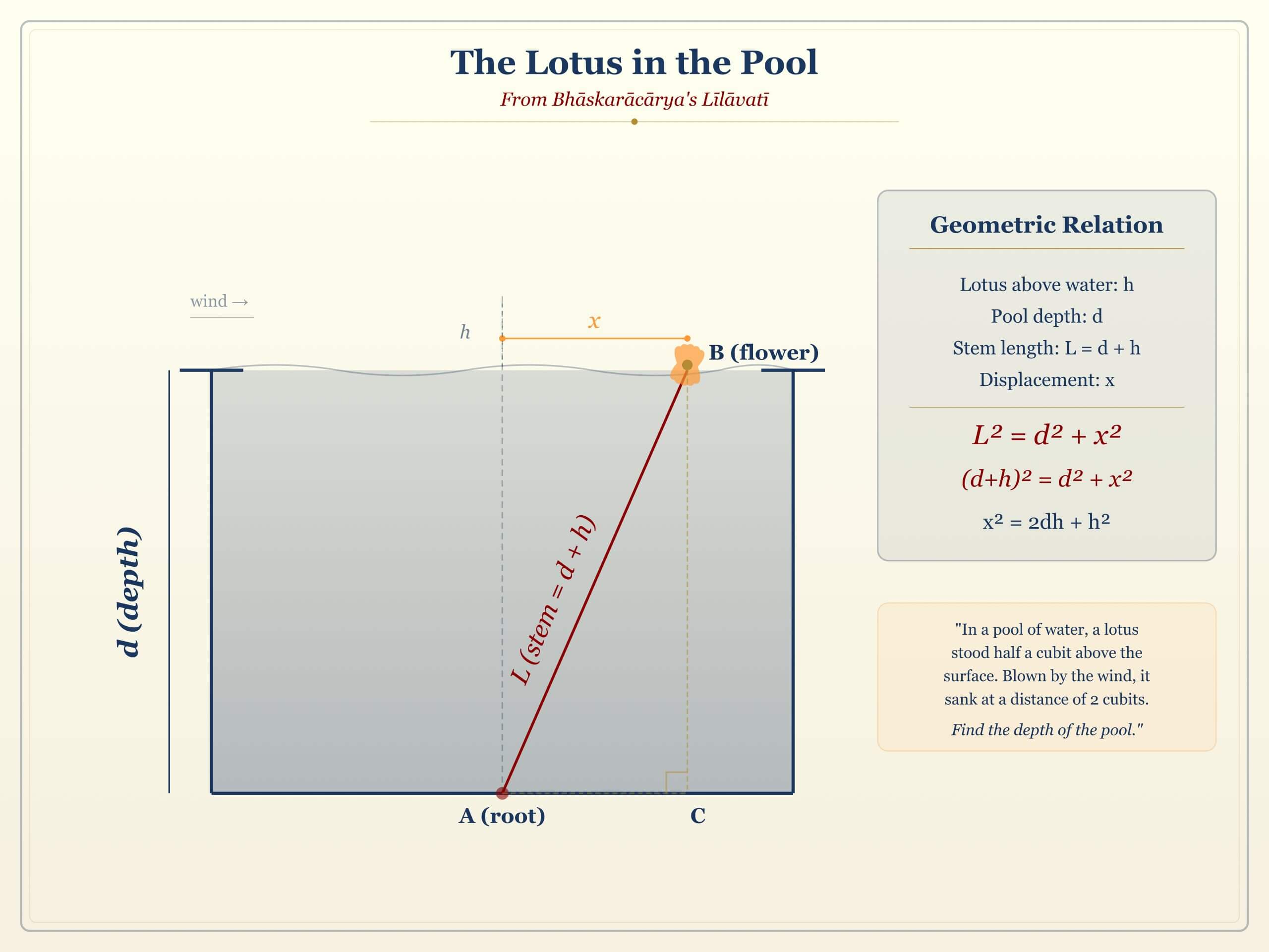 The lotus pool problem from Lilavati