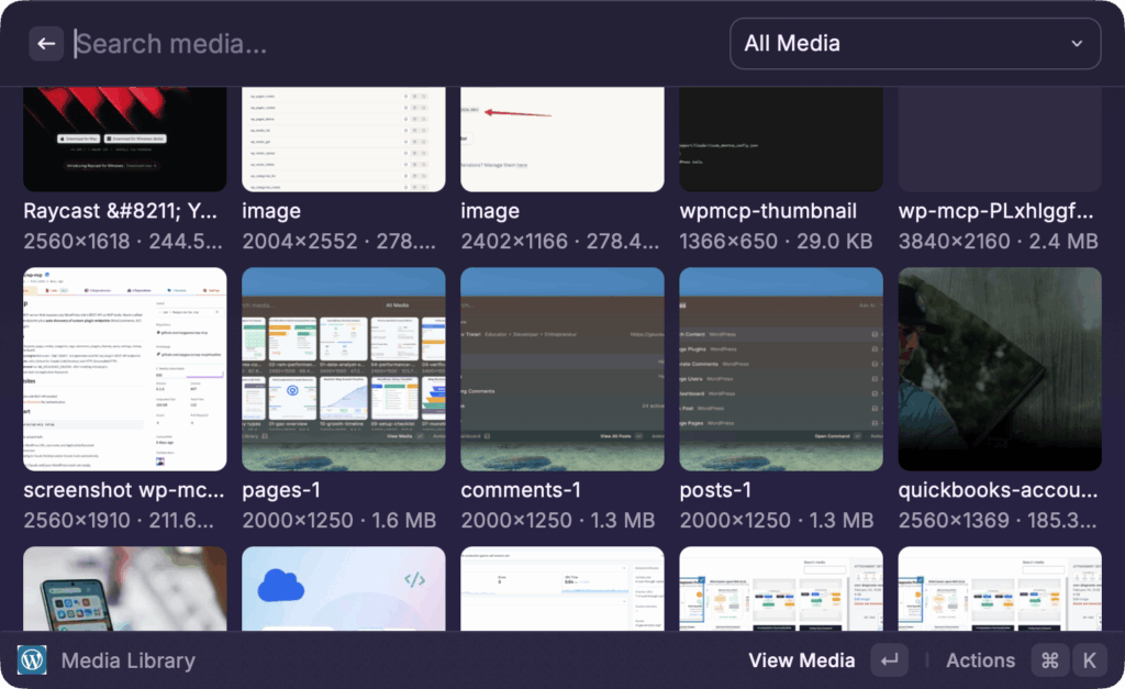 media library raycast