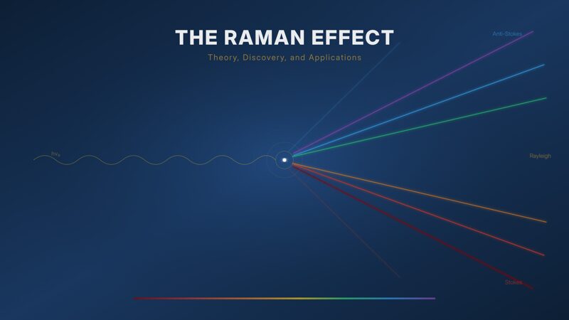 Image of The Raman Effect: Theory, Discovery, and Applications