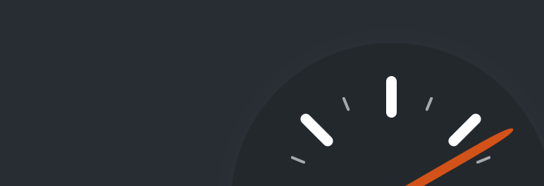 Perfmatters homepage screenshot