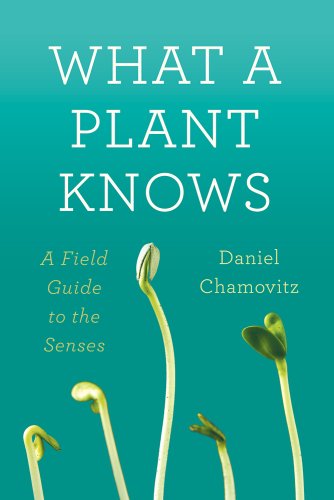 What a Plant Knows by Daniel Chamovitz