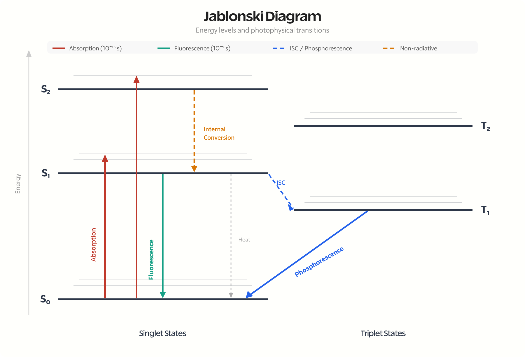 Jablonski diagram showing singlet and triplet energy levels with absorption, fluorescence, phosphorescence, internal conversion, and intersystem crossing pathways