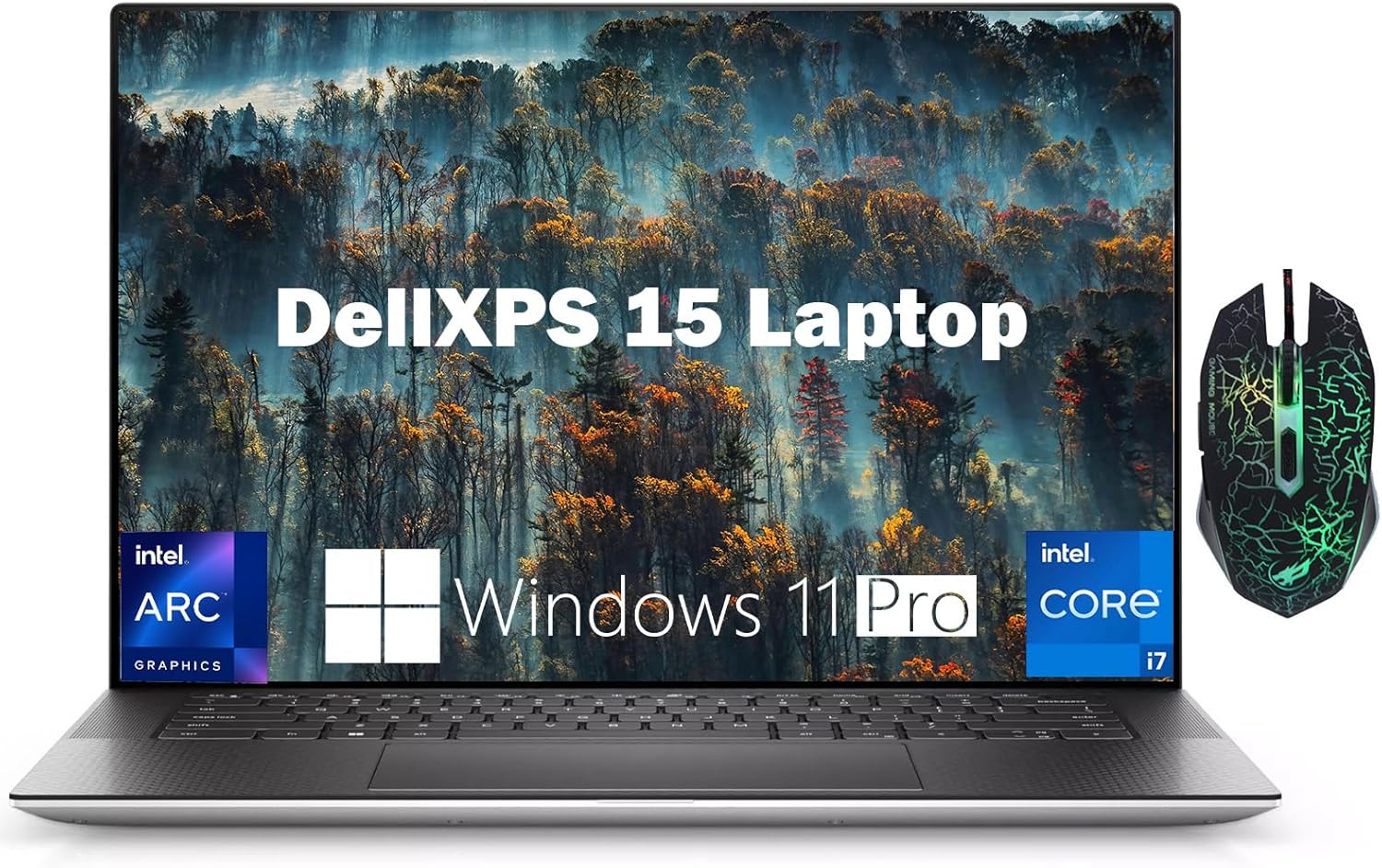 Dell XPS 15 (2024) — premium 15-inch Windows ultrabook with InfinityEdge OLED display option, popular among senior counsel