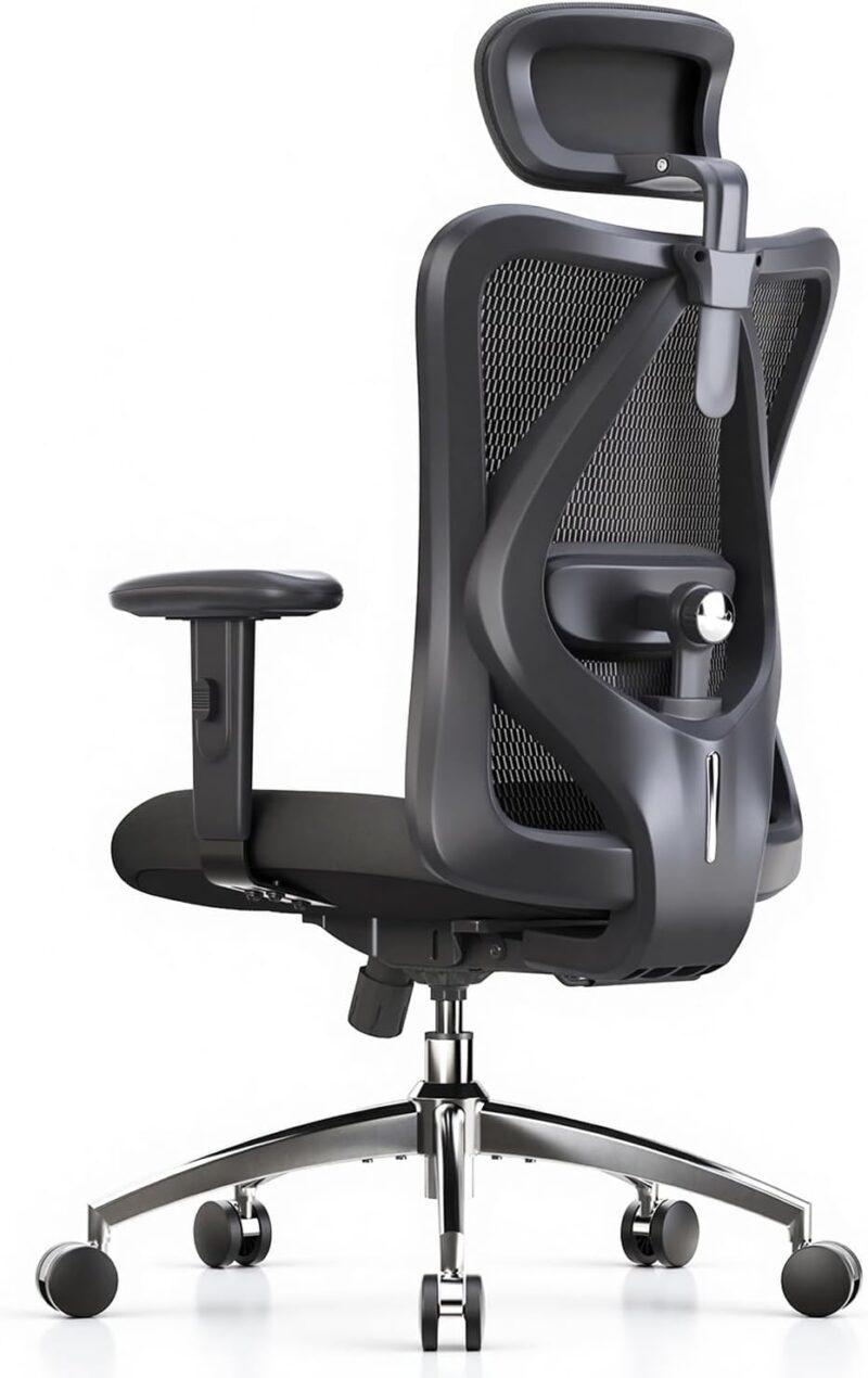 SIHOO M18 Ergonomic Office Chair with Adjustable Headrest and Lumbar Support