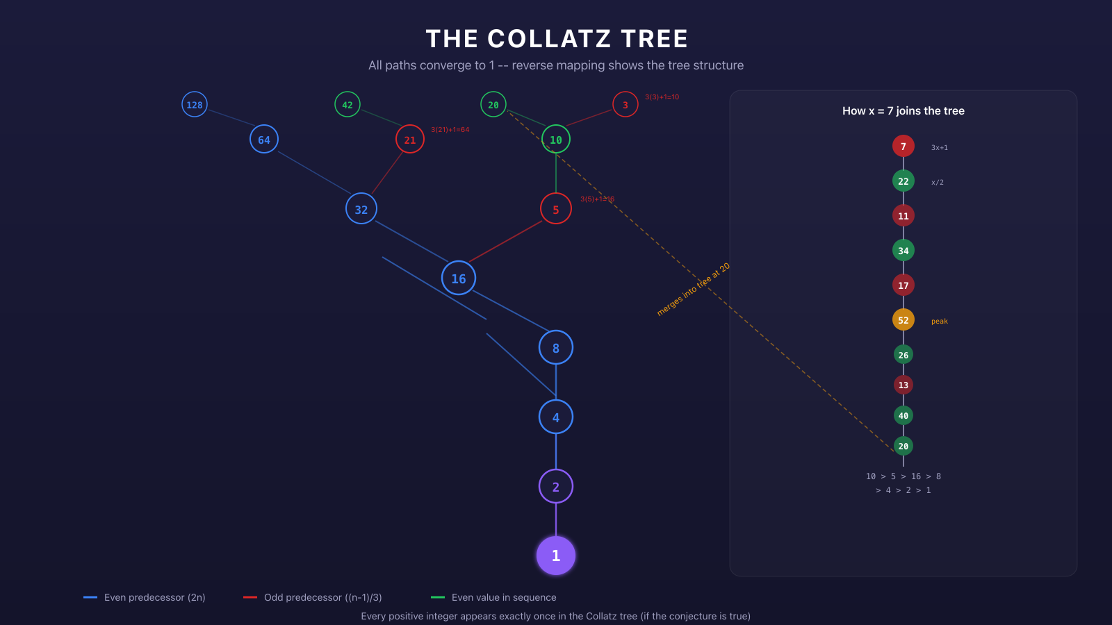 The Collatz tree showing how multiple starting values converge to 1