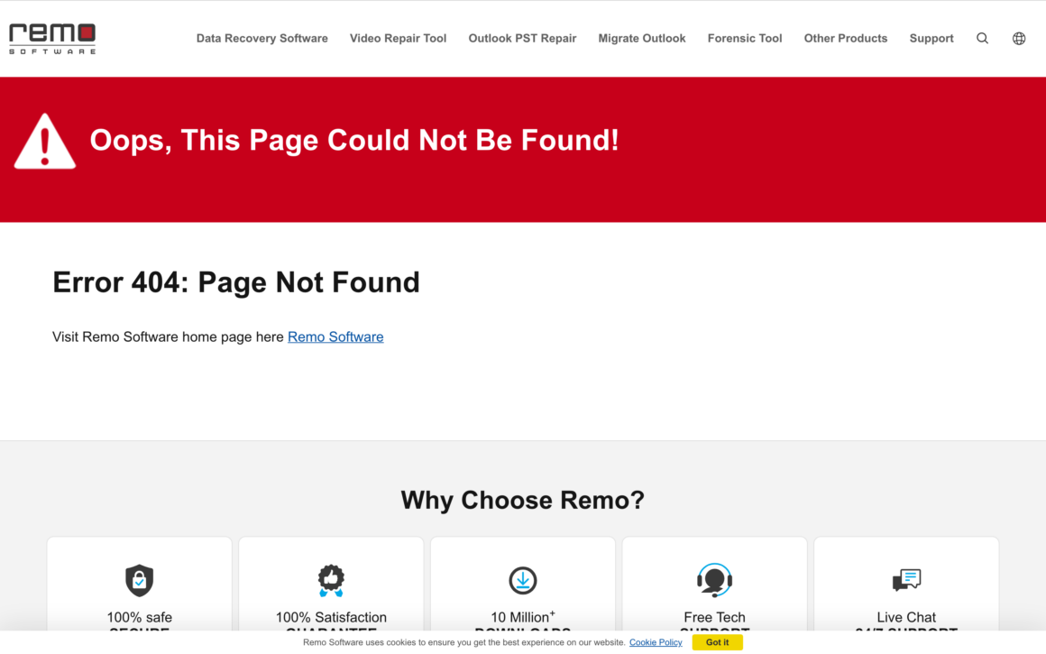 Remo Recover