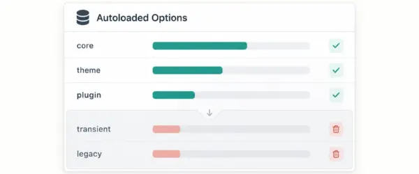 Autoloaded database options with retained rows and unnecessary data marked for cleanup.