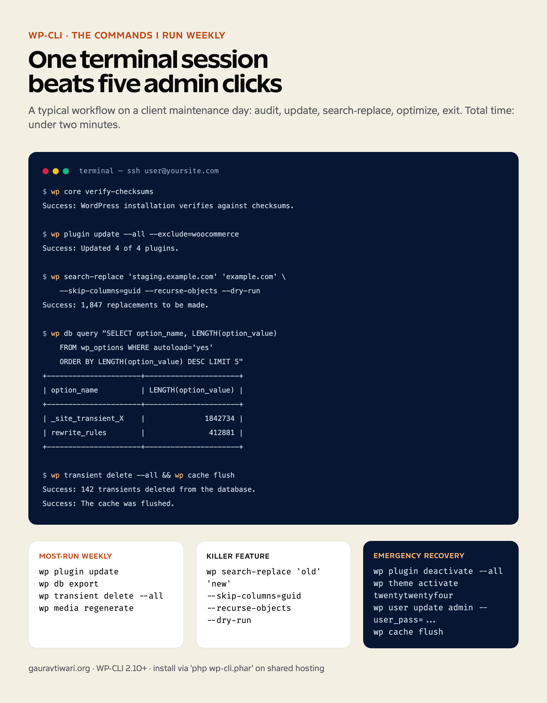 WP-CLI terminal session showing core verification, plugin update, search-replace dry-run, autoload audit, and cache flush