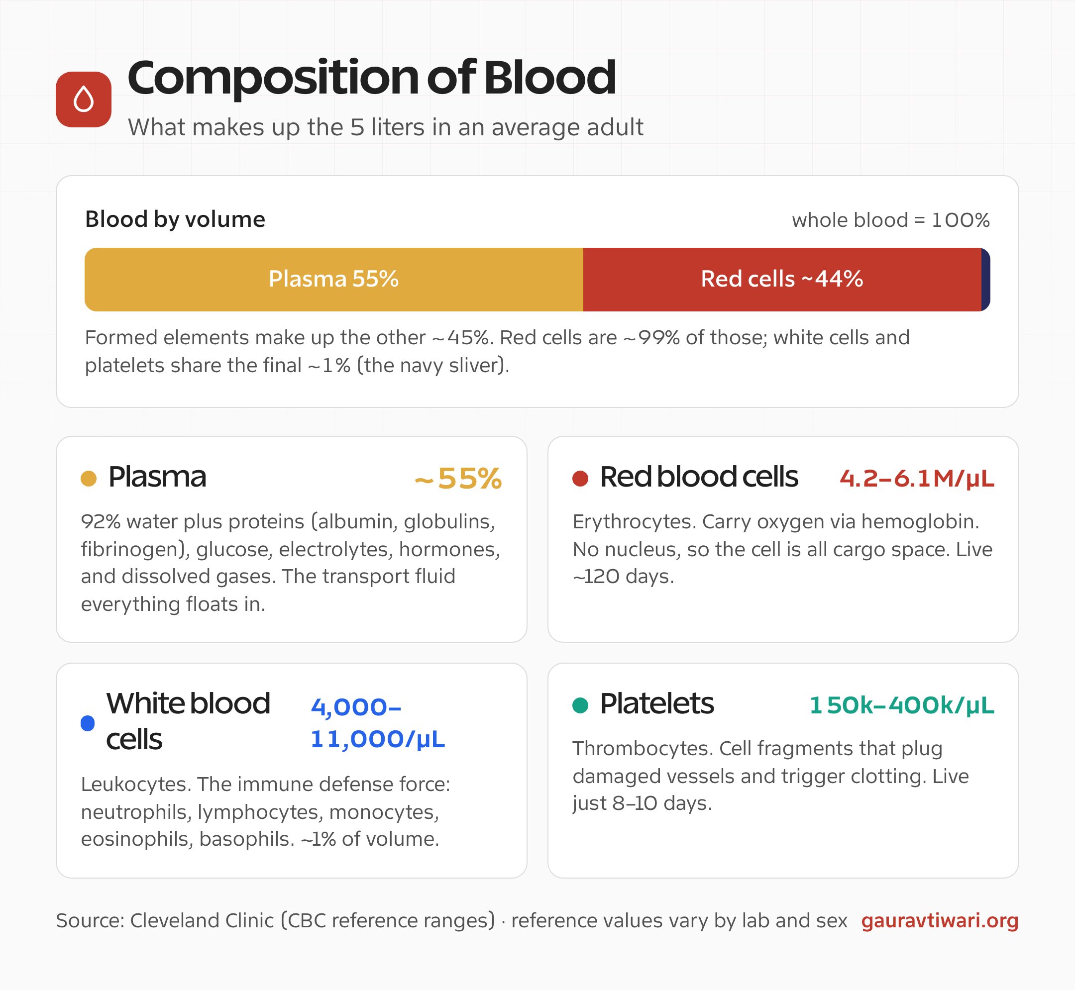 Composition of blood and blood cells: plasma 55 percent, red blood cells, white blood cells, and platelets with normal counts
