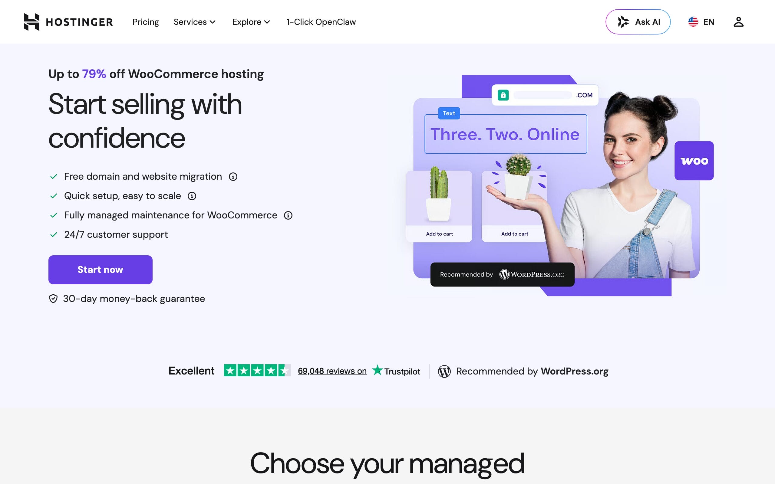 Hostinger WooCommerce hosting