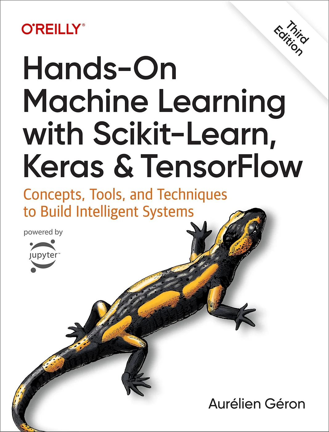 Hands-On Machine Learning with Scikit-Learn, Keras, and TensorFlow, recommended for Python developers building end-to-end models with TensorFlow