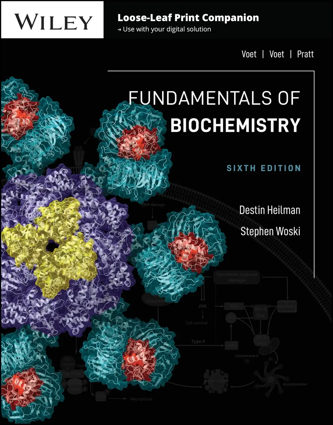 Fundamentals of Biochemistry, recommended for students who want molecular detail with a clear course sequence
