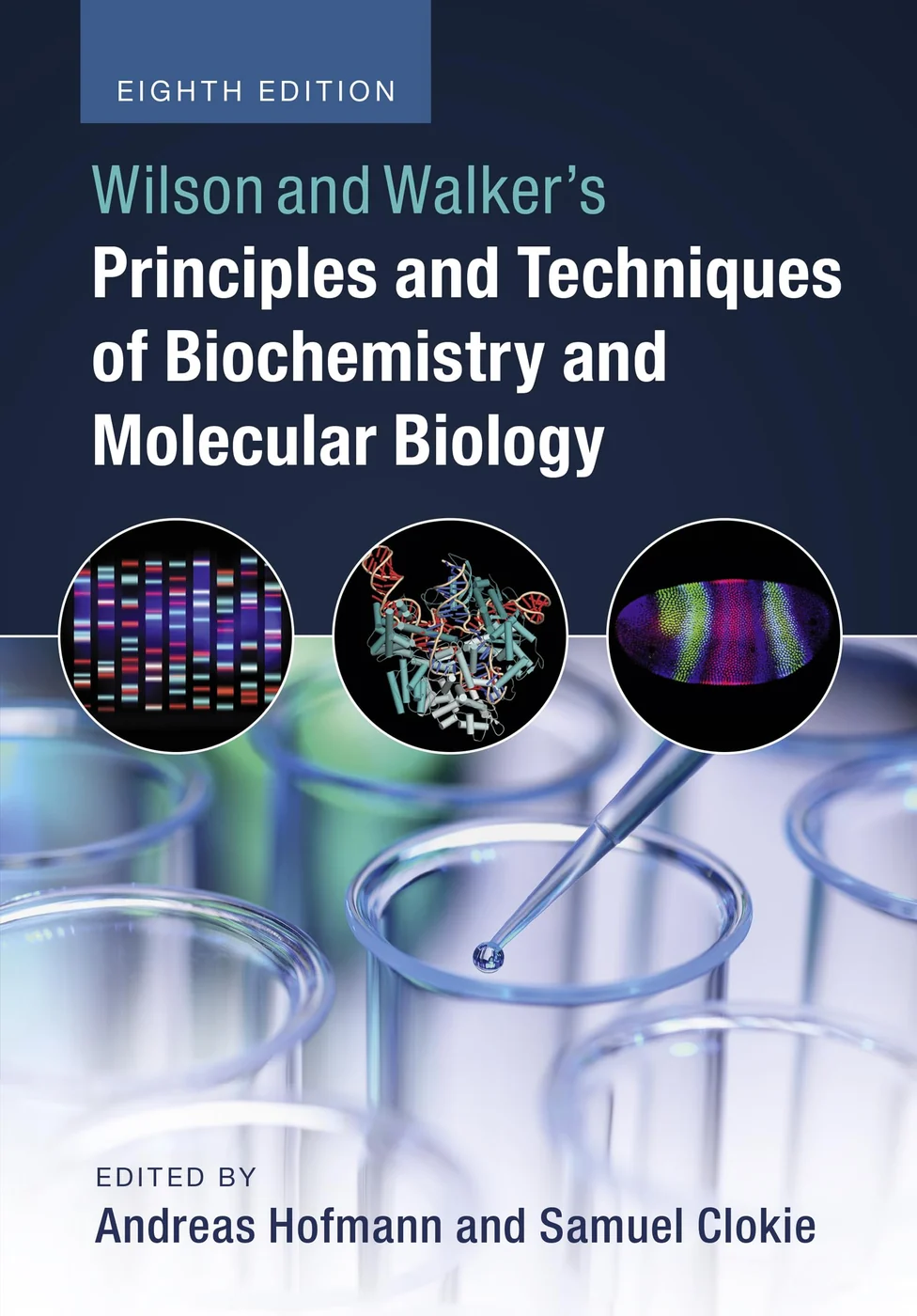 Wilson and Walker's Principles and Techniques of Biochemistry and Molecular Biology, recommended for students moving into practical biochemistry and molecular biology