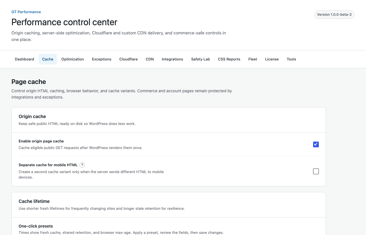 GT Performance page cache settings with cache presets and lifetime controls