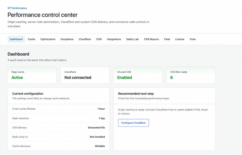 GT Performance dashboard showing page cache, Cloudflare, unused CSS, and CSS status