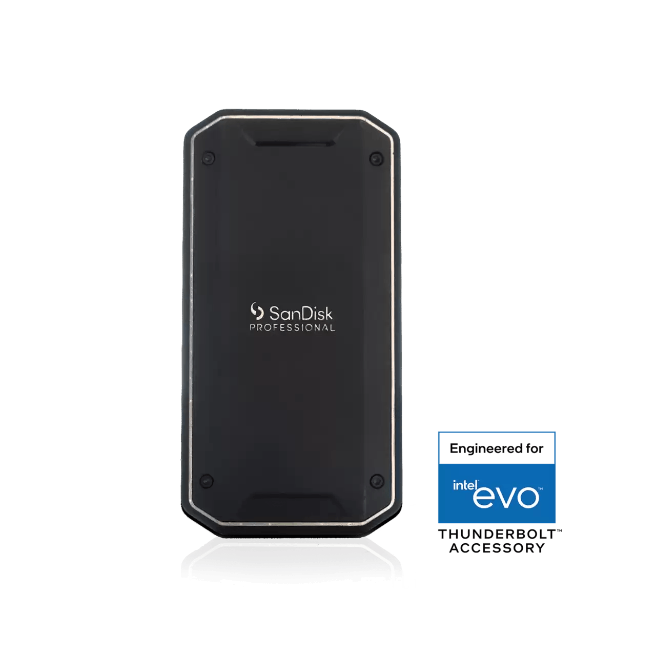SanDisk Professional 2TB PRO-G40 SSD, Thunderbolt 3 + USB-C