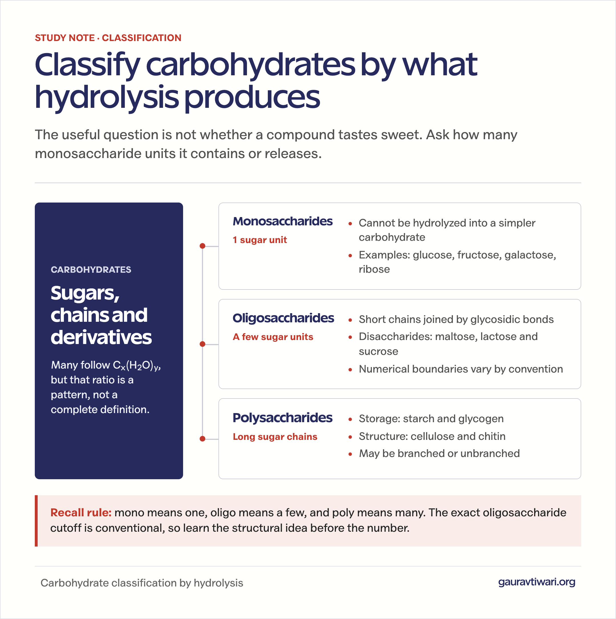 Carbohydrate classification map showing monosaccharides, oligosaccharides, and polysaccharides with hydrolysis behavior and examples