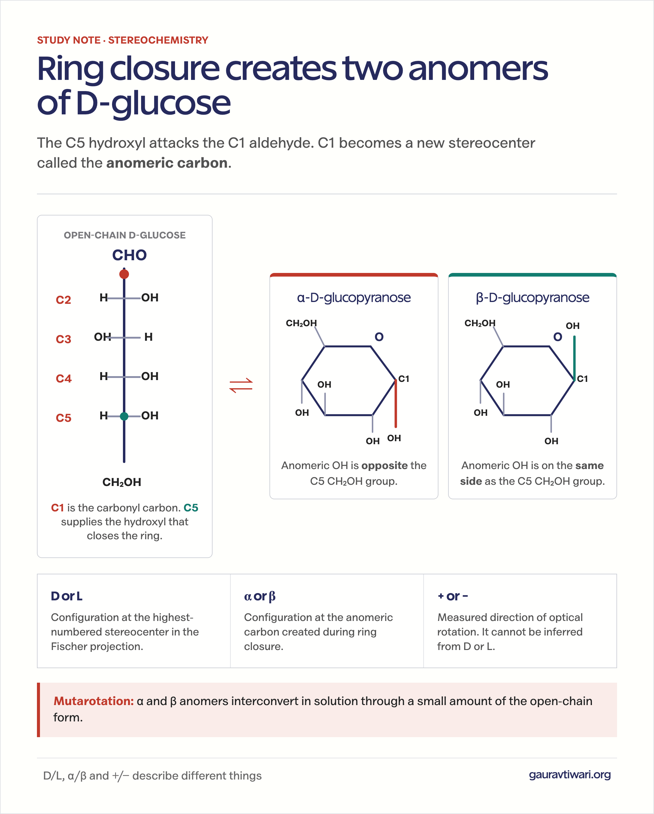 Glucose ring formation comparing open-chain D-glucose with alpha and beta D-glucopyranose anomers