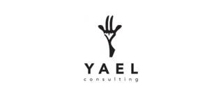 Yael Consulting logo