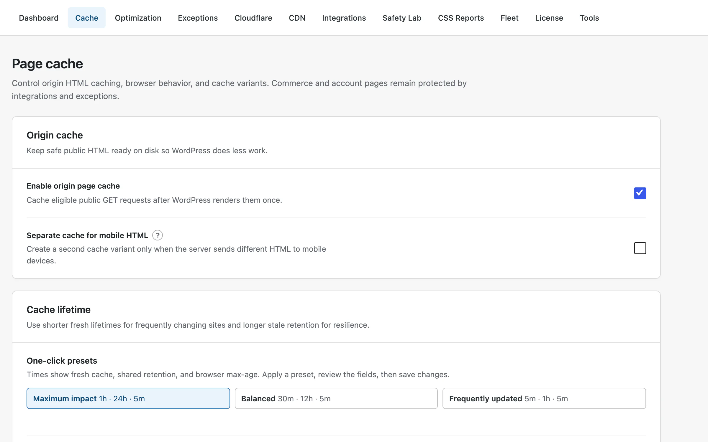 GT Performance page cache settings: origin cache toggle, mobile cache variant, and one-click lifetime presets