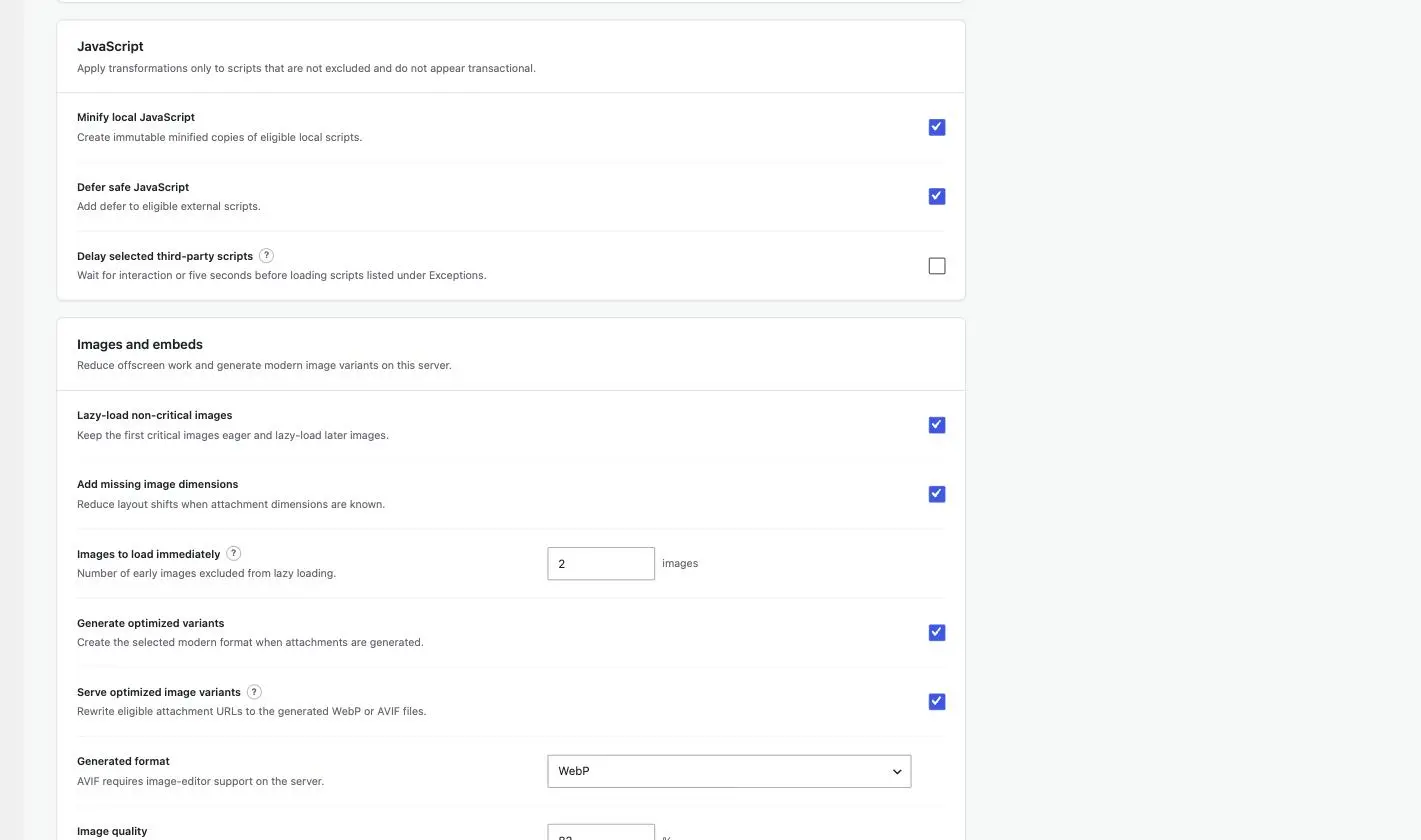 GT Performance Optimization tab, JavaScript panel, with Minify local JavaScript and Defer safe JavaScript switched on and Delay selected third-party scripts left off