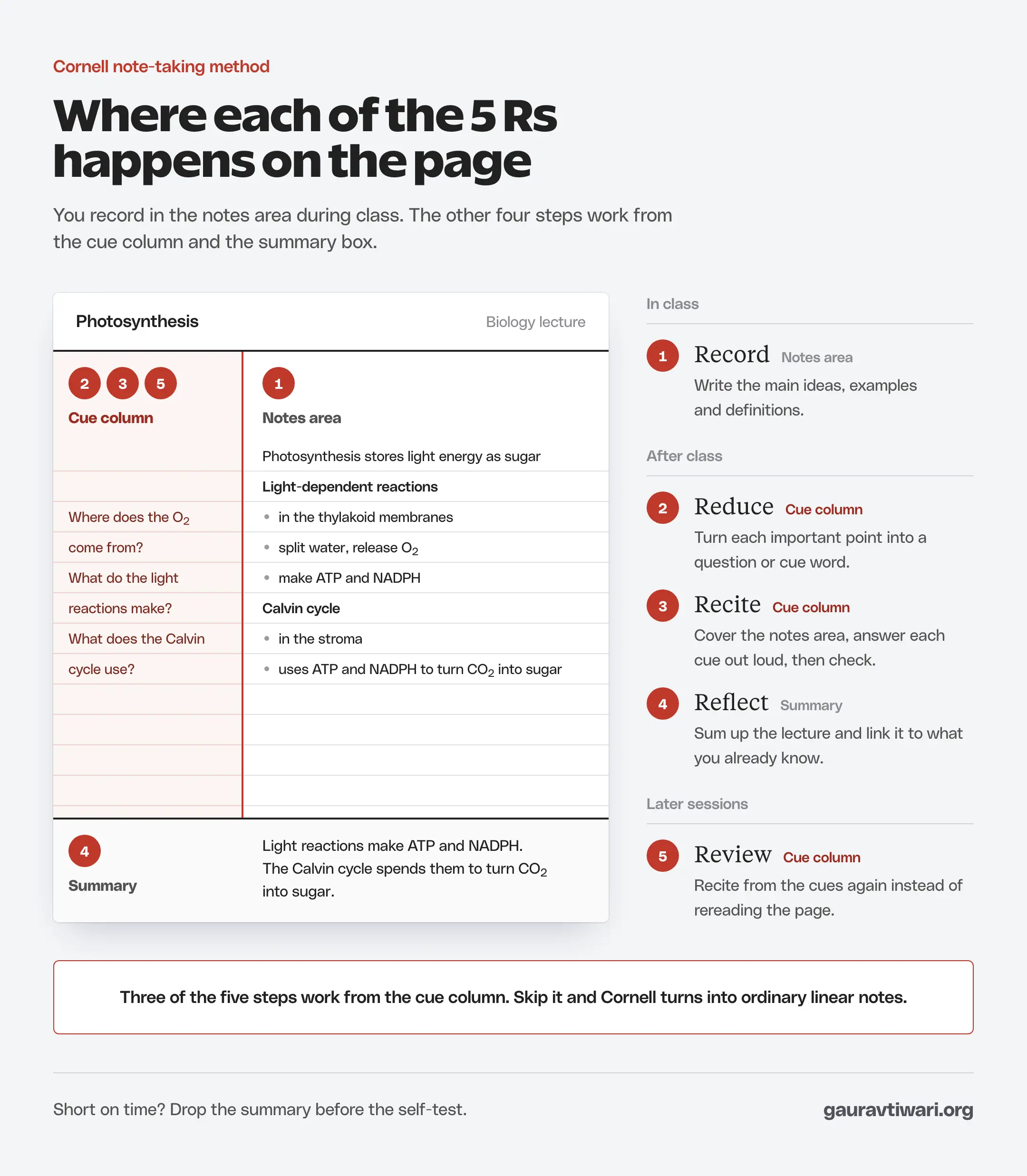 Cornell notes page with a cue column, notes area and summary box, numbered with Pauk's 5 Rs: Record in the notes area, Reduce, Recite and Review in the cue column, and Reflect in the summary box