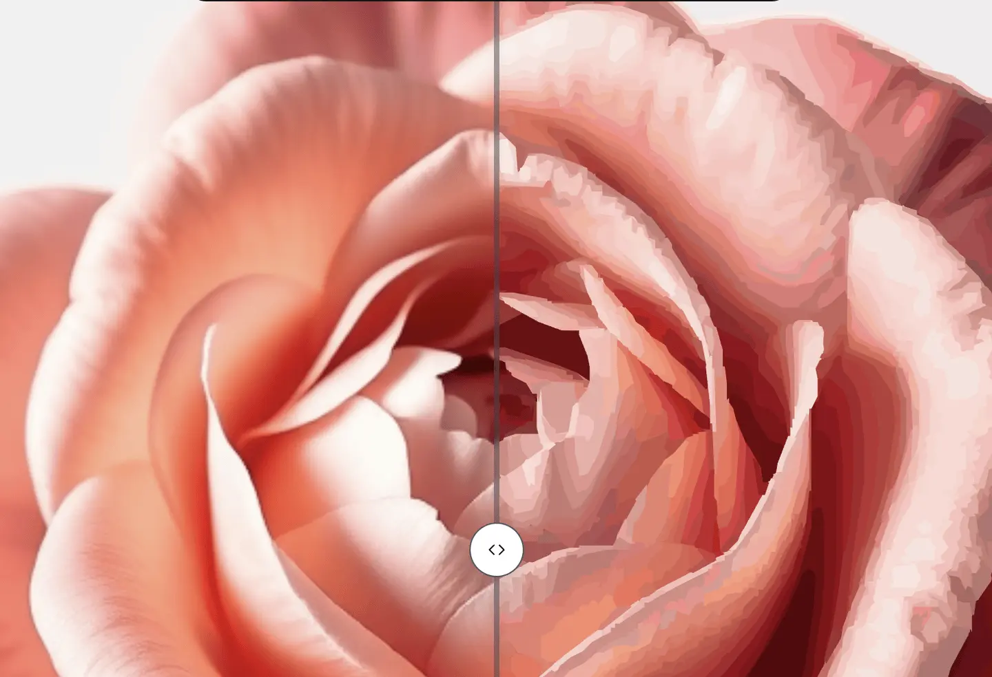 Close-up of a rose photo beside the Studio vectorizer result, where smooth petals become bands of flat posterized color