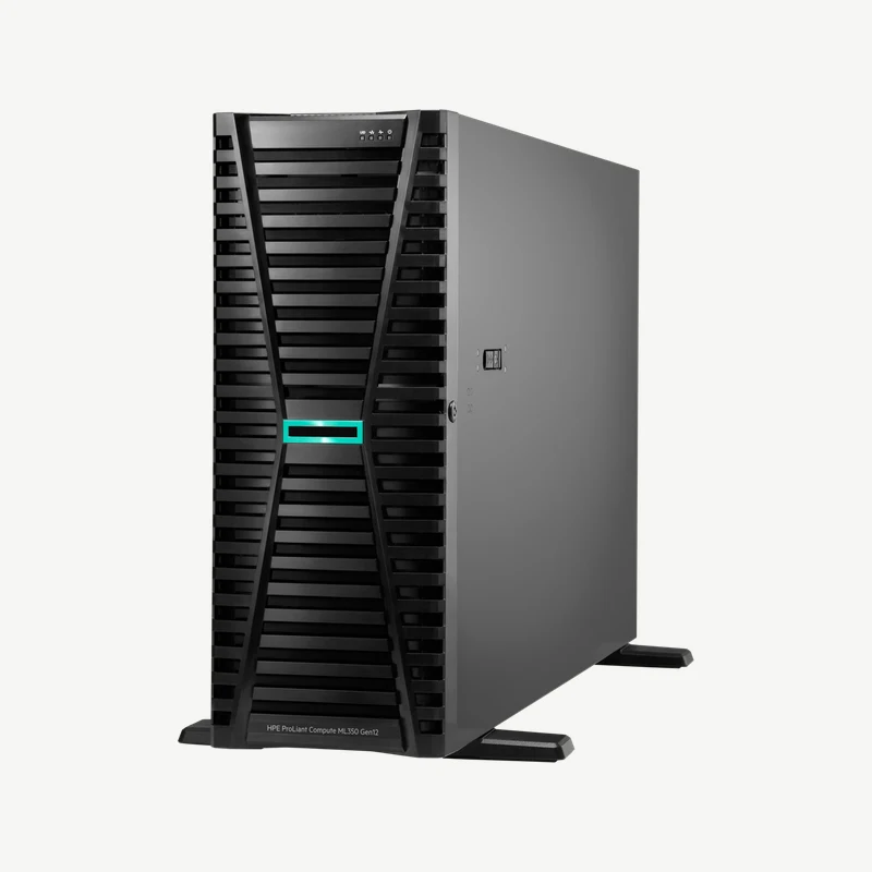 HPE ProLiant Compute ML350 Gen12 (P90002-005): Xeon 6505P, 32 GB DDR5, 2x 8 TB SAS HDD