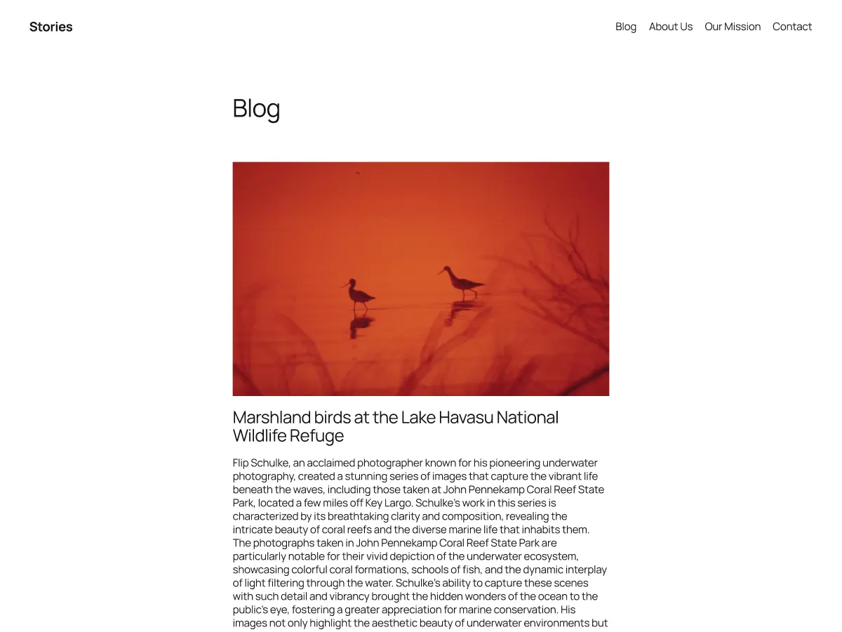 Twenty Twenty-Five blog preview with a narrow text column and a large photograph of birds